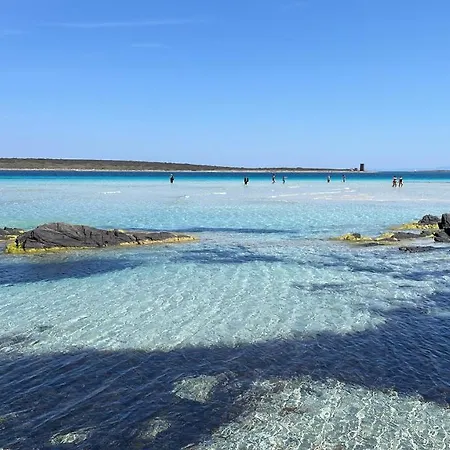 I Pescatori Di Stelle-l11 Vega Stintino