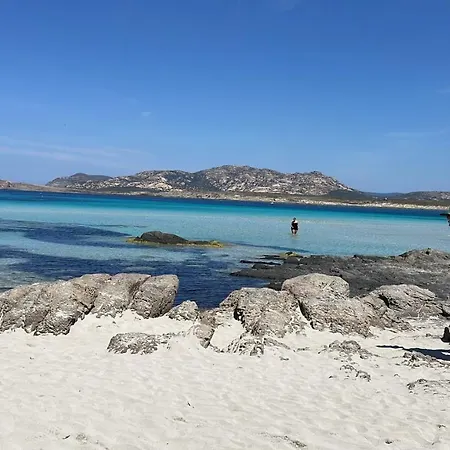 I Pescatori Di Stelle-l11 Vega Holiday home Stintino