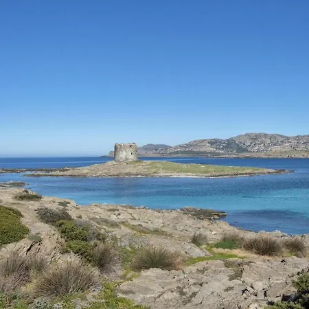 I Pescatori Di Stelle-l11 Vega Stintino