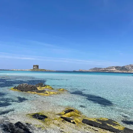 I Pescatori Di Stelle-l11 Vega Stintino